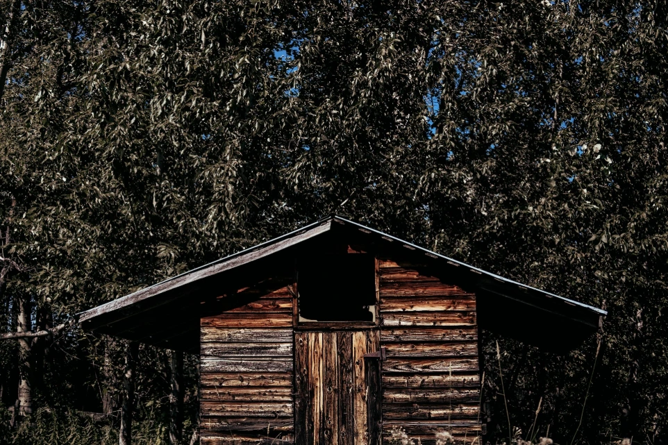 brown wooden house surrounded by trees